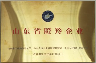 山東省瞪羚企業(yè)